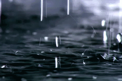 微信图片_20230901133340_1.gif